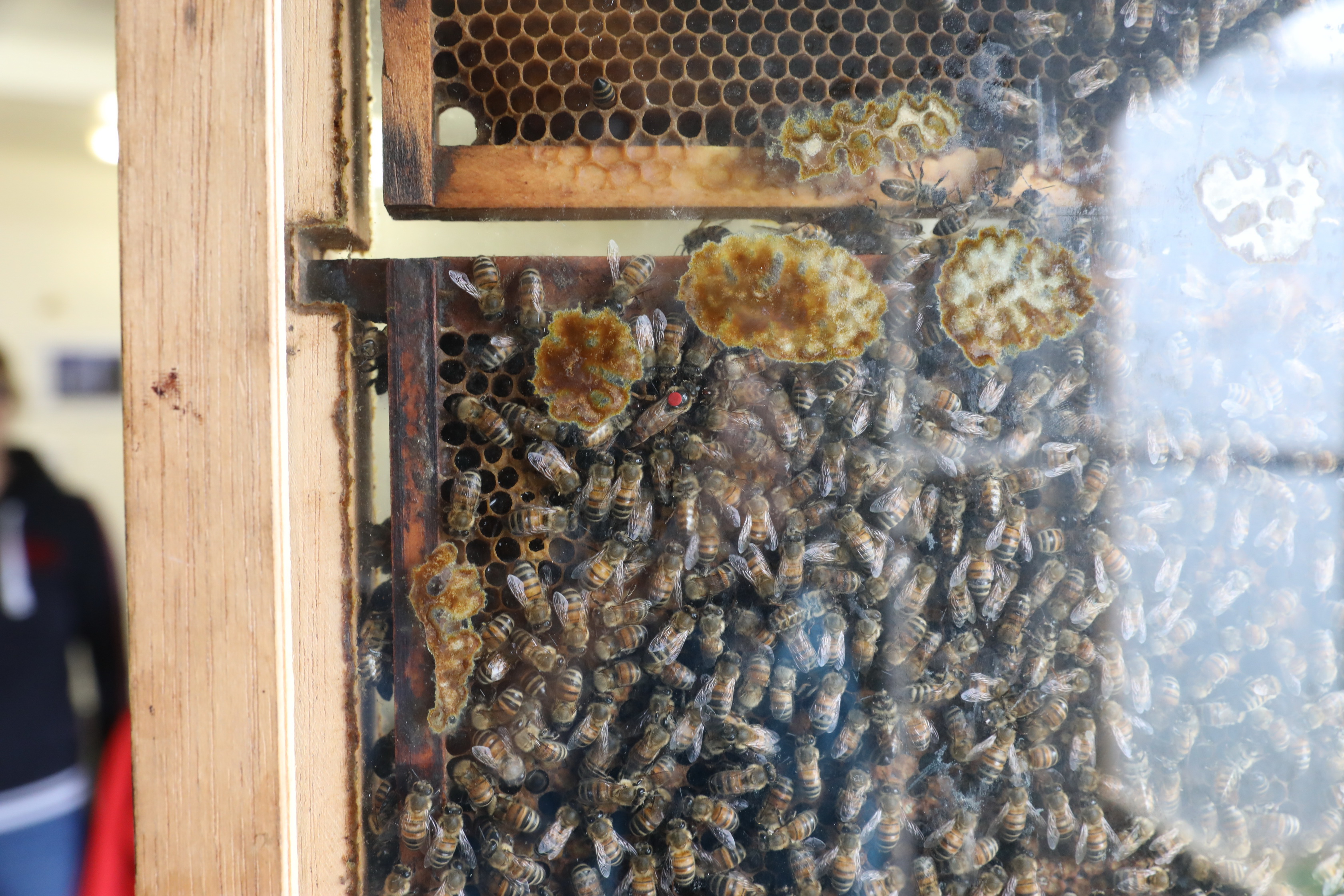 2019 10 04 16 06 49 Canon EOS 5D Mark IV 0032